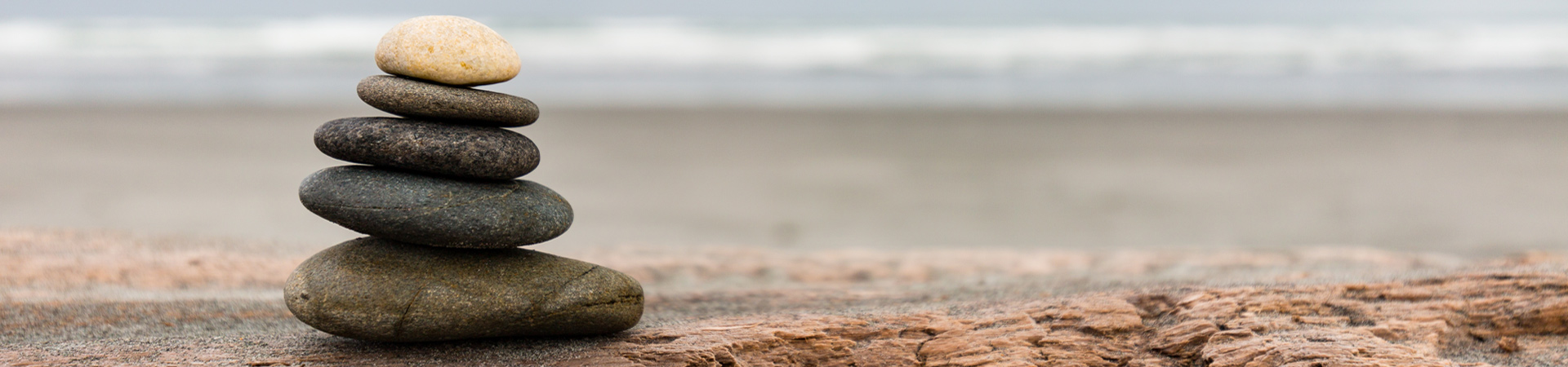 A pile of rocks